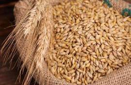 Азиатские импортеры пшеницы уходят от Черноморского региона - agroexpert.md