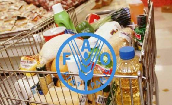 В мире цены на продовольствие растут из-за погодных рисков - agroexpert.md