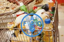 В мире цены на продовольствие растут из-за погодных рисков - agroexpert.md