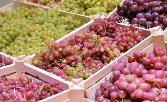 Рынок столового винограда под давлением предложения: цены снижаются - agroexpert.md