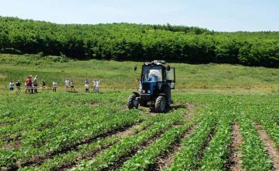 Granturi de până la 15.000 de dolari pentru sprijinirea fermierilor - agroexpert.md