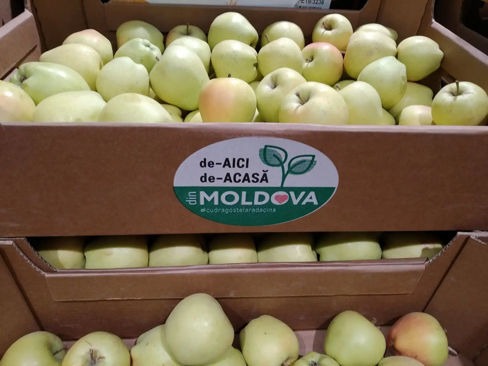 Местные продукты могут получить приоритет при госзакупках в Молдове
