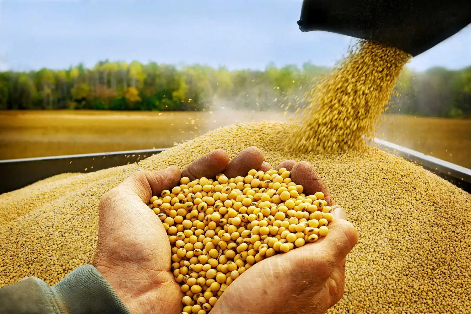 Обзор рынков продукции на 09/01/2018