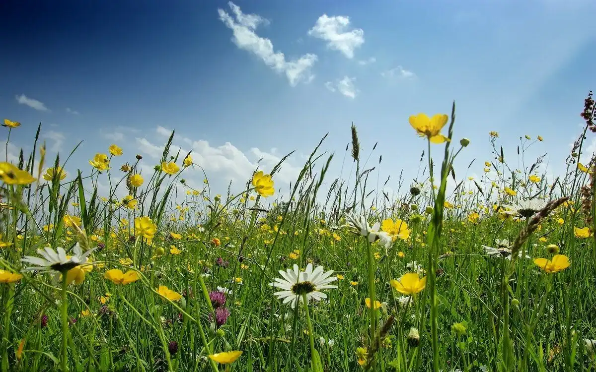 Meteorologii promit vreme frumoasă pentru astăzi, cu maxime de până la 22 de grade Celsius