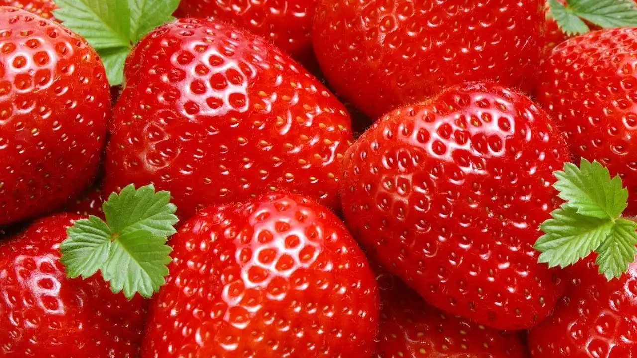 Эксперты FAO прибыли в Молдову для реализации новых проектов