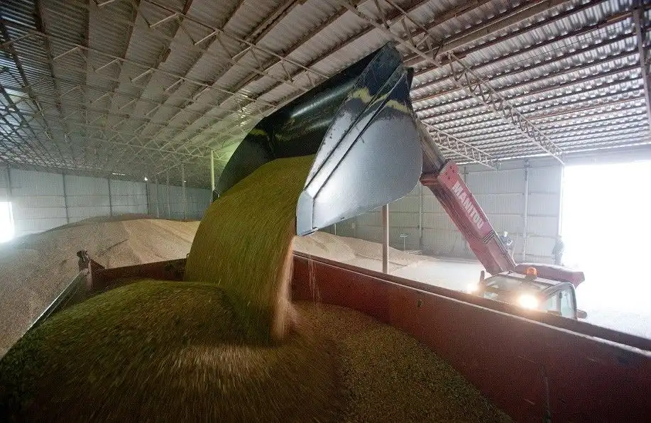 Strategie Grains повысило прогноз конечных запасов пшеницы в ЕС, несмотря на рост экспорта