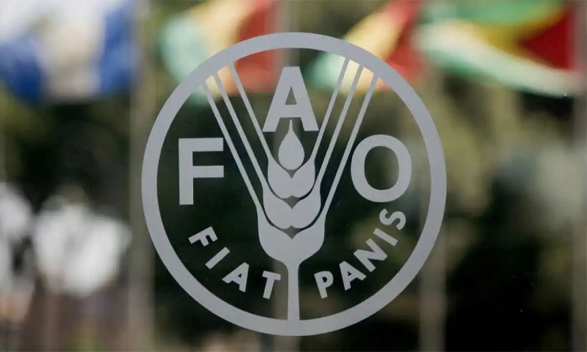 R. Moldova şi FAO vor semna un acord ce prevede asistenţă pentru prevenirea degradării solurilor