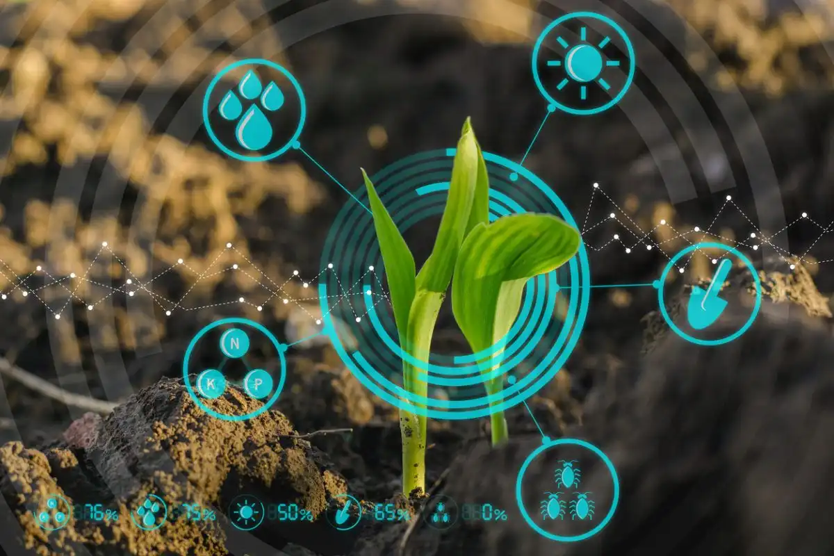 Syngenta инвестирует $1,25 млн в инновации производства растительных белков