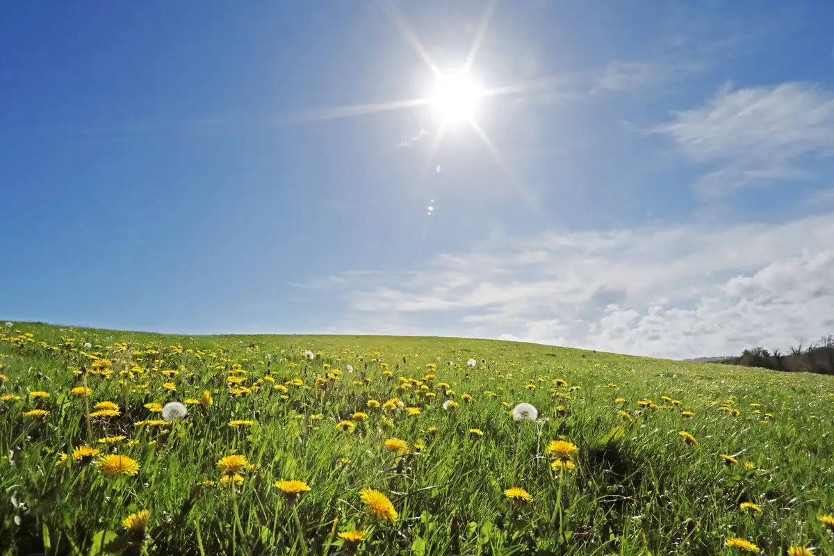 Meteo: Cer variabil și temperaturi de până la +22°C
