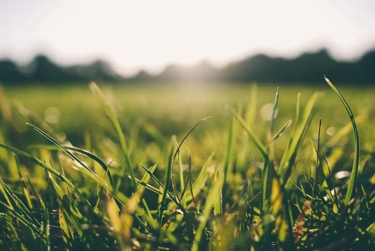 Vreme schimbătoare: De la 25 la 18 grade Celsius și ploi