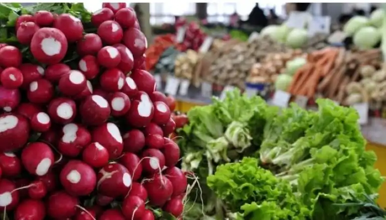 В Кишинёве будут организованы ярмарки по продаже агропродовольственной продукции