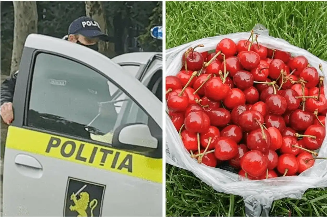 В Кишинёве полиция оштрафовала семью из села, приехавшую продать два ящика черешни