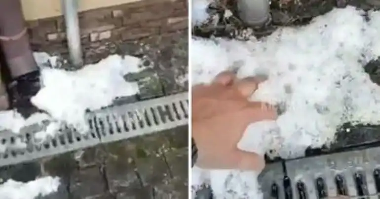 ВИДЕО| В начале лета в Киевской области выпал снег
