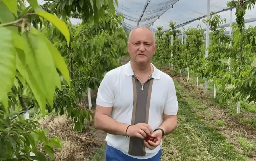 ВИДЕО| Президент призвал граждан поддержать отечественных аграриев