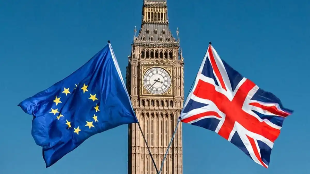Импорт сельскохозяйственной продукции после Brexit продолжает подрывать птицеводство Великобритании