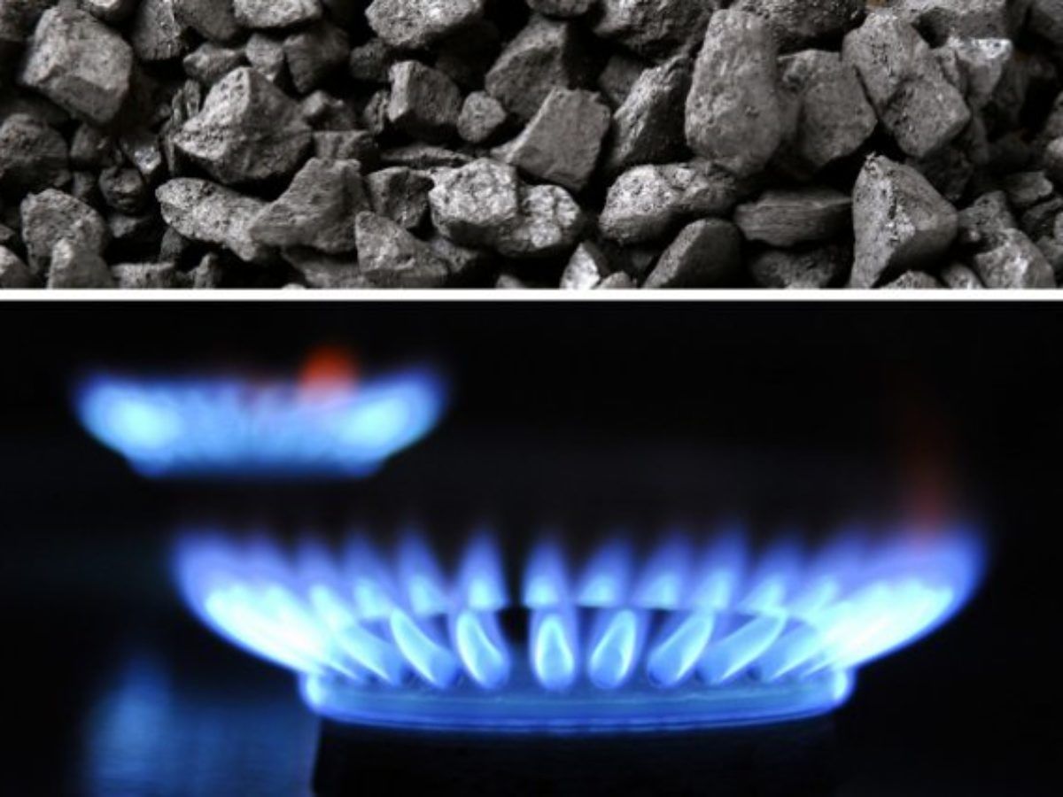 Природное минеральное топливо. * Органическое топливо - каменный уголь, ГАЗ. Природный ГАЗ. Углеводородное топливо. Твердое углеводородное топливо.