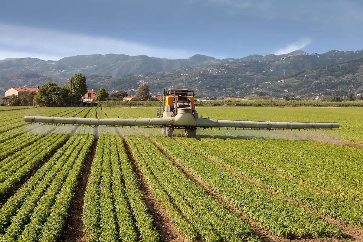 Cum pot solicita agricultorii compensații pentru pagubele cauzate de fenomenele naturale periculoase?