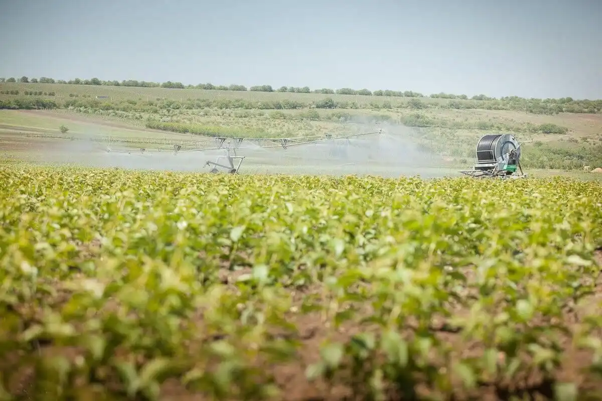 Sistemele de irigare acoperă doar un procent din terenurile agricole