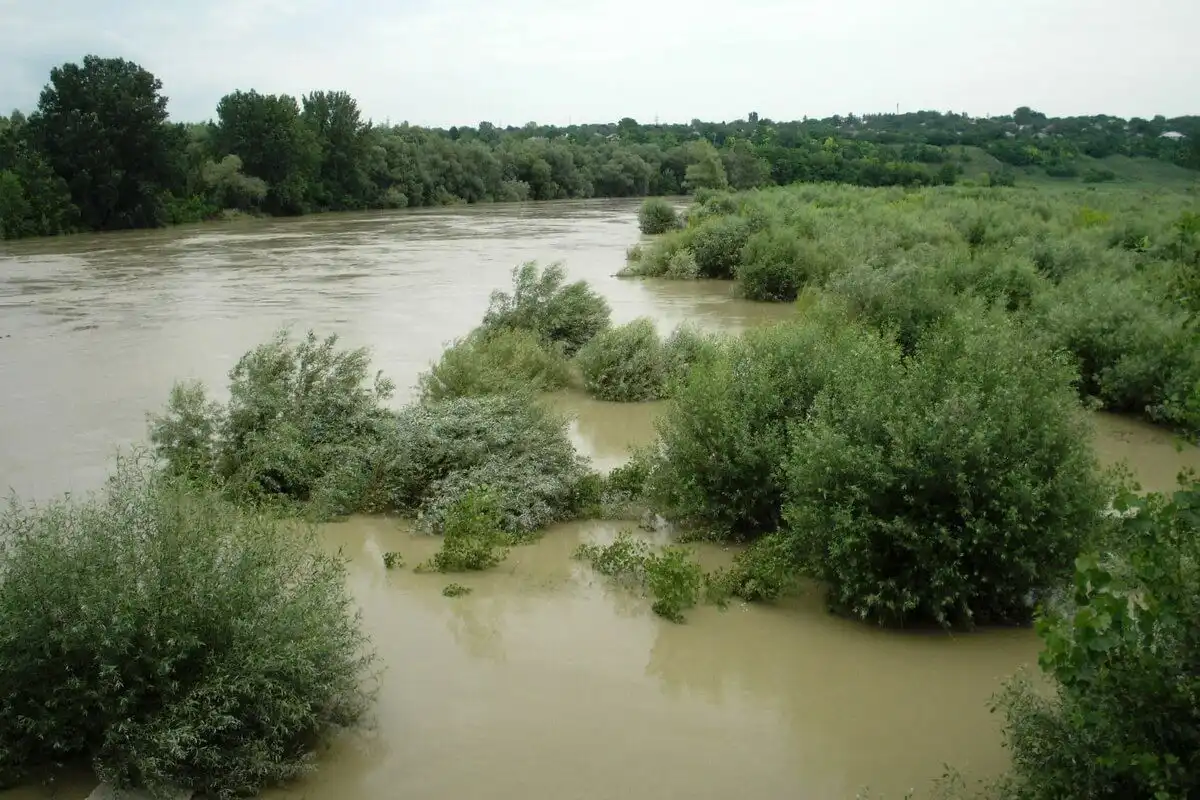 Salvatorii sunt în alertă din cauza creșterii nivelului de apă în râul Prut
