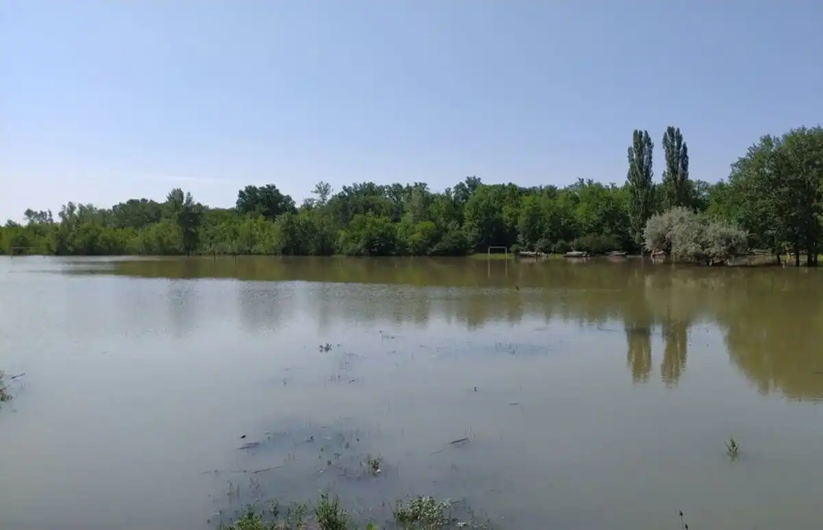 FOTO | Cât de afectate sunt întreprinderile silvice pe cursul râului Nistru, dar și Prut – Agenția „Moldsilva”