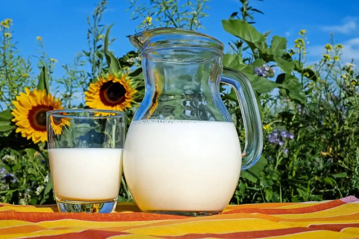Producătorii de lapte din întreaga lume sunt în pragul unei crize
