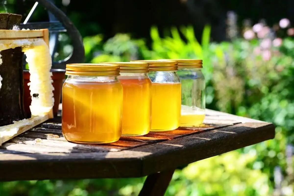 Mierea moldovenească a obținut cinci medalii la expoziția London Honey Awards