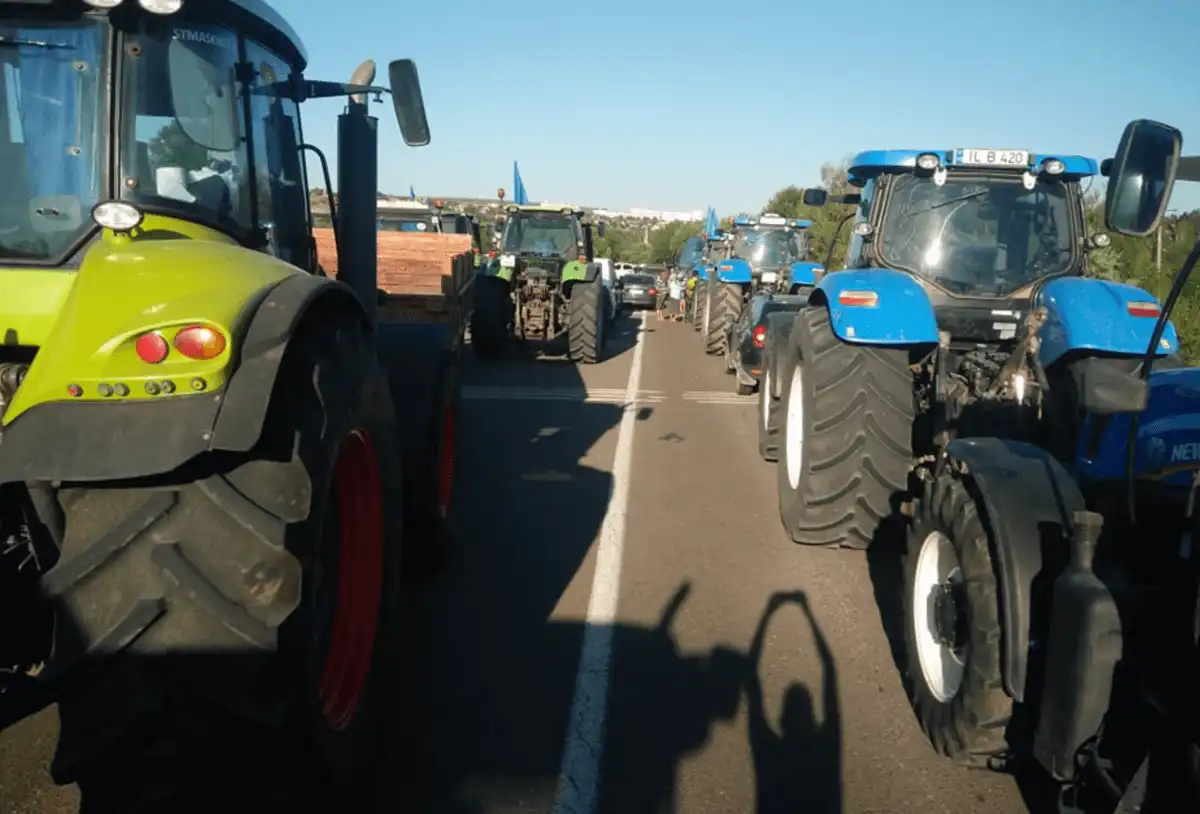 Agricultorii vor primi 300 milioane de lei pentru atenuarea consecințelor calamităților naturale