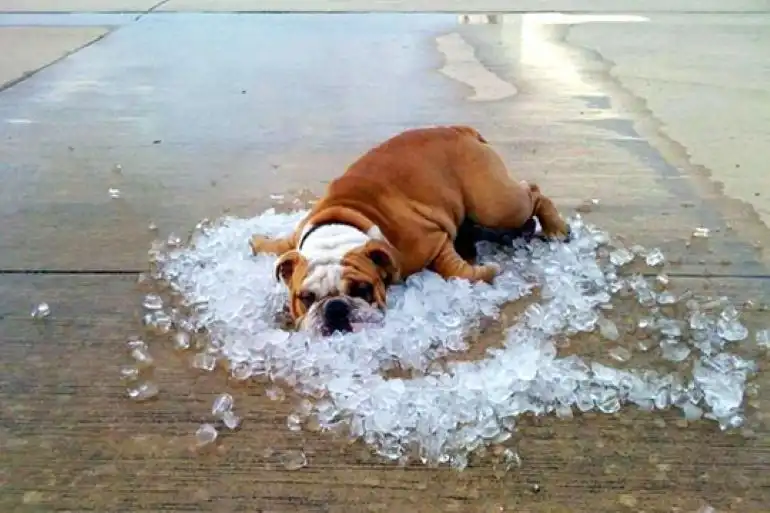 Вновь объявлен «жёлтый код»: ожидается до +35°C