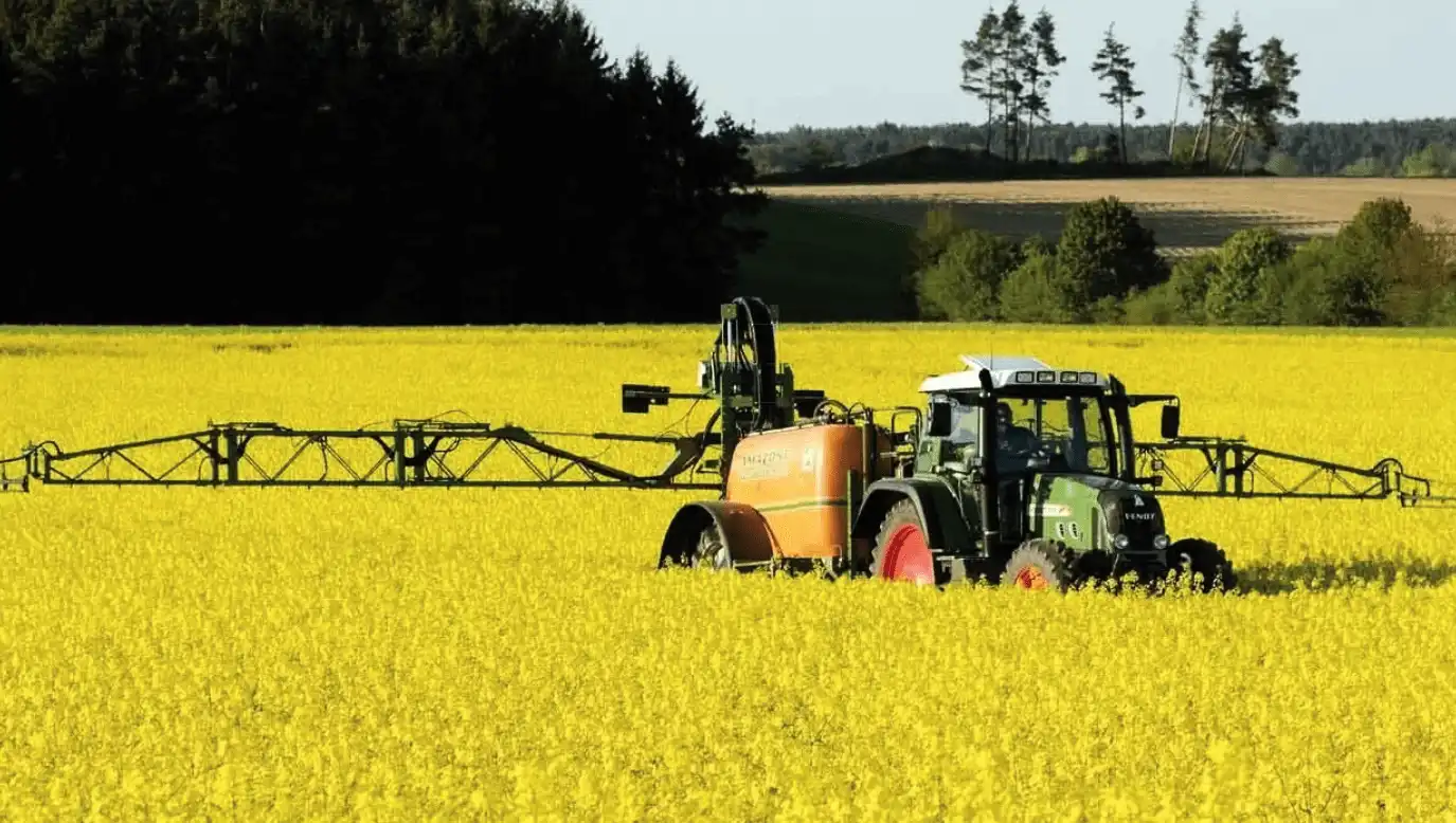 Агентство Stratégie Grains повысило прогноз производства европейского рапса в 2020/21 МГ