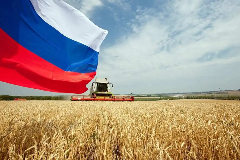 Сколько лет Россия сможет сохранять лидерство на мировом рынке зерна?