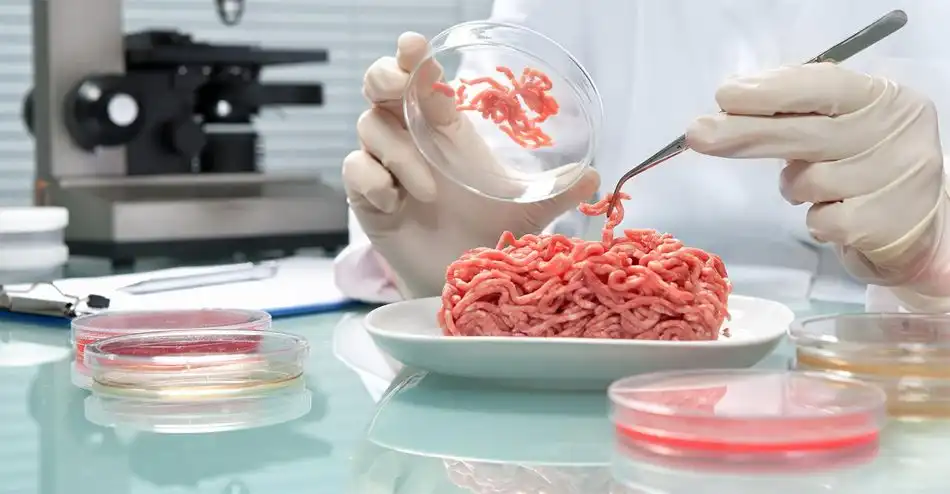 Европейский Союз впервые поддержал создателей «мяса из пробирки»