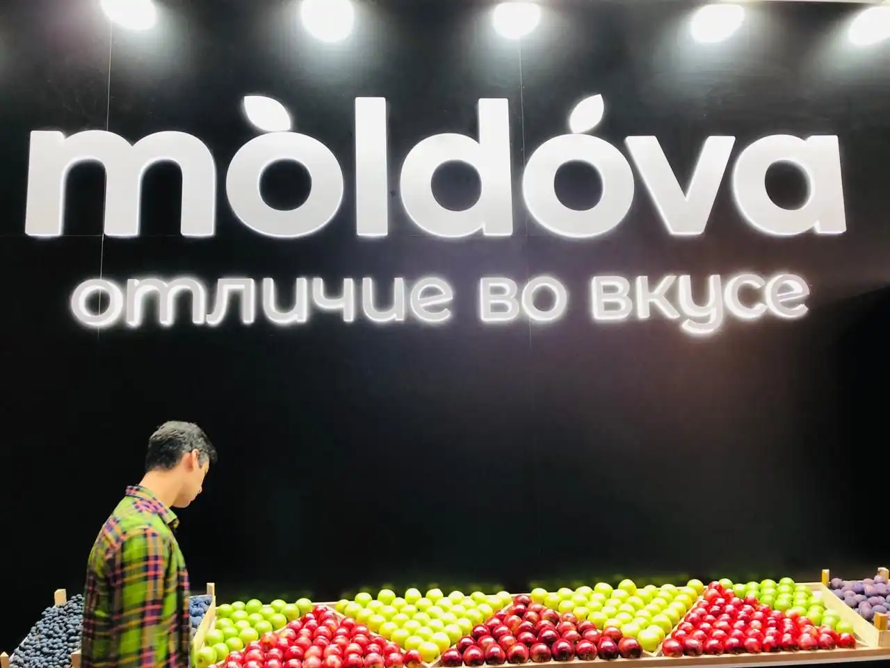 Sunt stabilite condițiile de utilizare a mărcii „Moldova – un gust deosebit”. Vezi cine și cum o poate utiliza!
