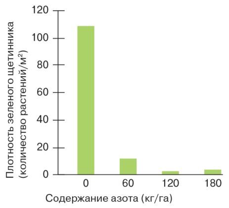 Рис. 1. Распределение питательных элементов влияет на плотность расселения зеленого щетинника