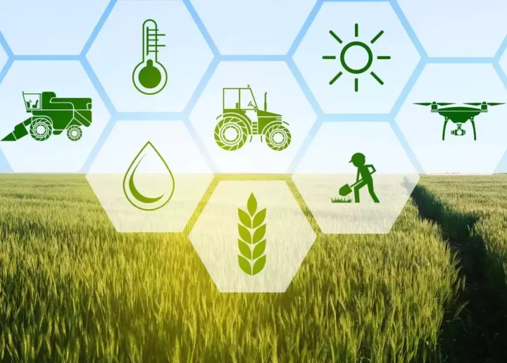 UTM lansează agricultura inteligentă: unde poți lucra după absolvire