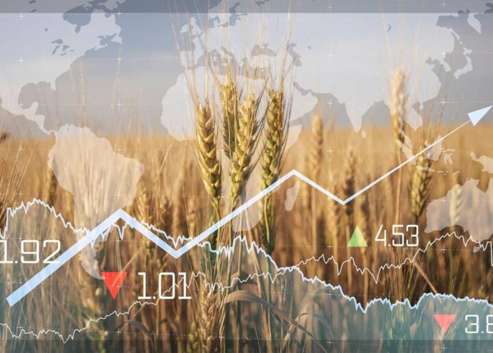 Цены на мировых рынках в четверг: пшеница снизилась, кукуруза и соя росли