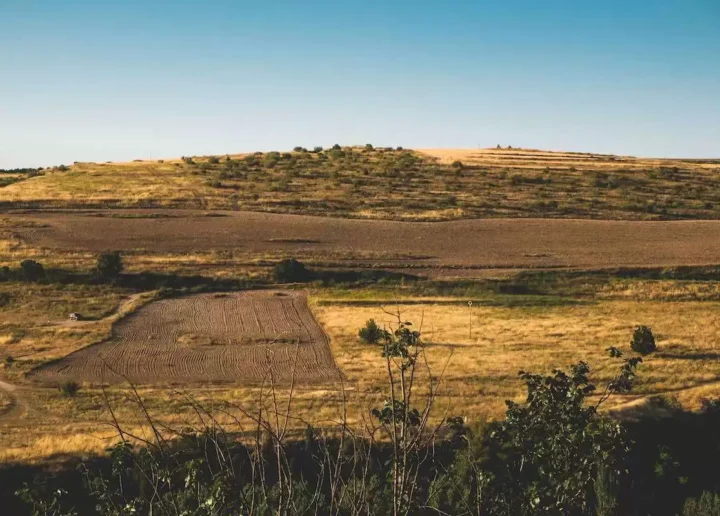 Epocă nouă în agricultură: sol sănătos și culturi rezistente la caniculă