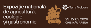 Banner 4 - full width