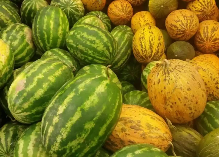 Pepeni verzi sau galbeni? Ce preferă moldovenii vara aceasta