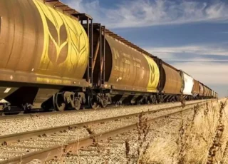 CFM majorează tarifele cu 15%. Exportatorii de cereale cer explicații și amânarea măsurii