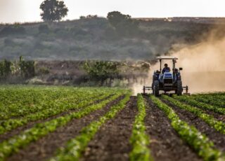 Agricultura conservativă în R. Moldova: Ce practici pot aplica fermierii pentru a proteja solul și apa
