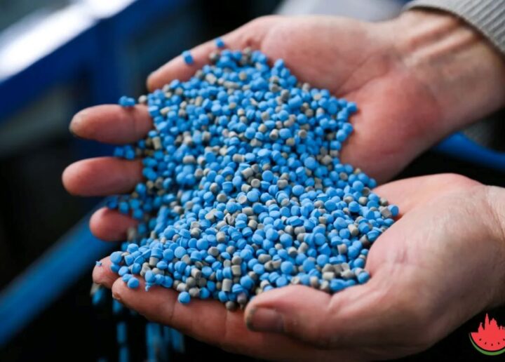 Algeria lansează un proiect de amploare privind producția de îngrășăminte fosfatice