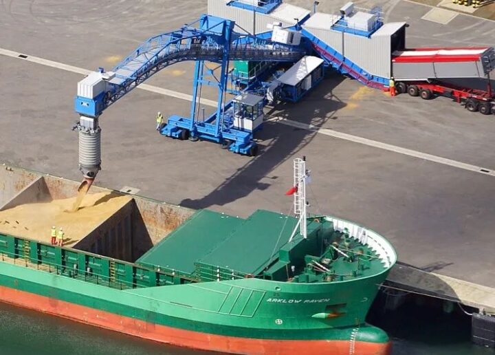 Importatorii asiatici de grâu plătesc mai mult din cauza perturbărilor din Marea Neagră