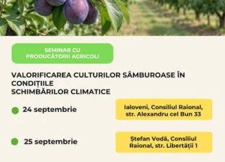 CCAR проведет серию семинаров по выращиванию косточковых и орехоплодных культур в условиях изменения климата