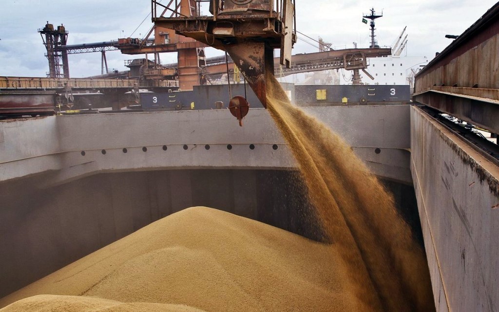 Egiptul caută noi importatori de grâu din cauza instabilității din Marea Neagră