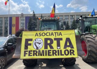 Forța Fermierilor cere prelungirea licențierii importurilor de cereale și oleaginoase până la sfârșitul anului