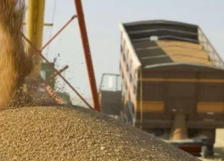 Exporturile agricole, blocate pe Dunăre și la frontieră. Soluțiile cerute de sector ajung pe masa autorităților și a Comisiei Europene