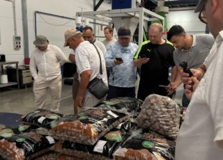Урожайность до 6 тонн орехов с гектара: примеры успешного опыта из Испании и Португалии