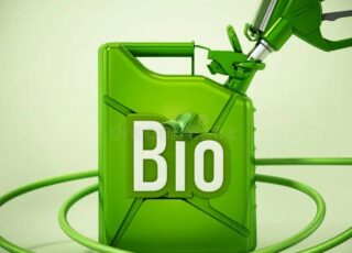 К 2030 году площади под сырье для биотоплива могут вырасти вдвое
