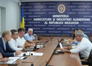 Минсельхоз и пчеловоды обсудили развитие отрасли и меры поддержки