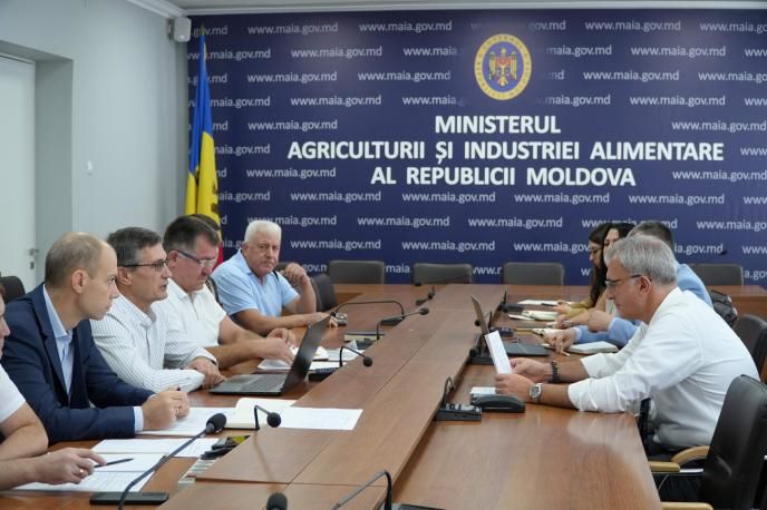 Ministerul Agriculturii și apicultorii au discutat despre dezvoltarea sectorului și măsurile de sprijin